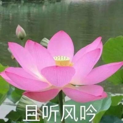 北京门头沟发布生物多样性白皮书